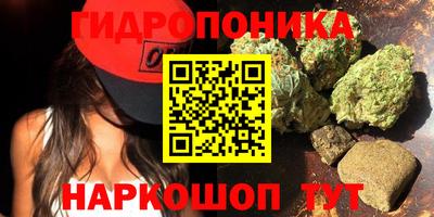дмт Севастополь