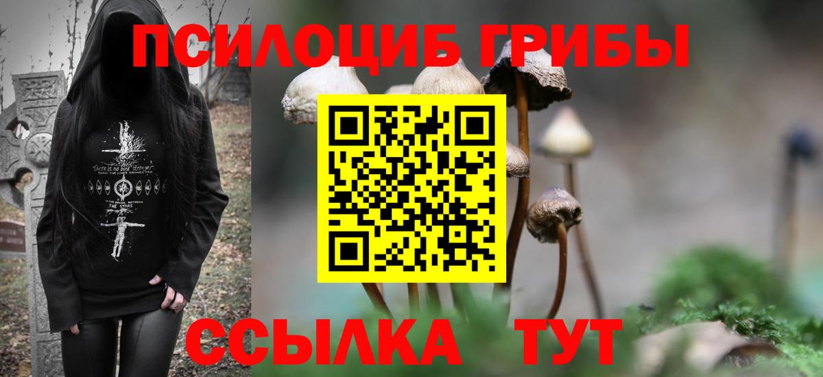 Псилоцибиновые грибы прущие грибы Осинники